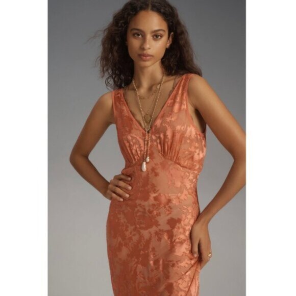 Rolla's Anthropologie Eliza Peach Sheer Midi/Maxi Dress - Picture 4 of 13
